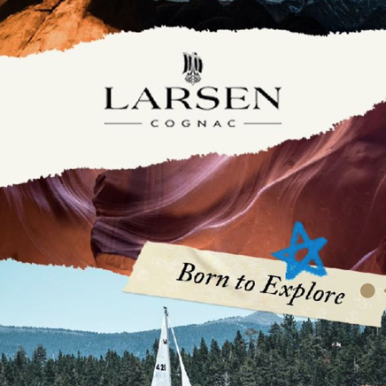 Larsen Social Campaign | A different way to promote cognac