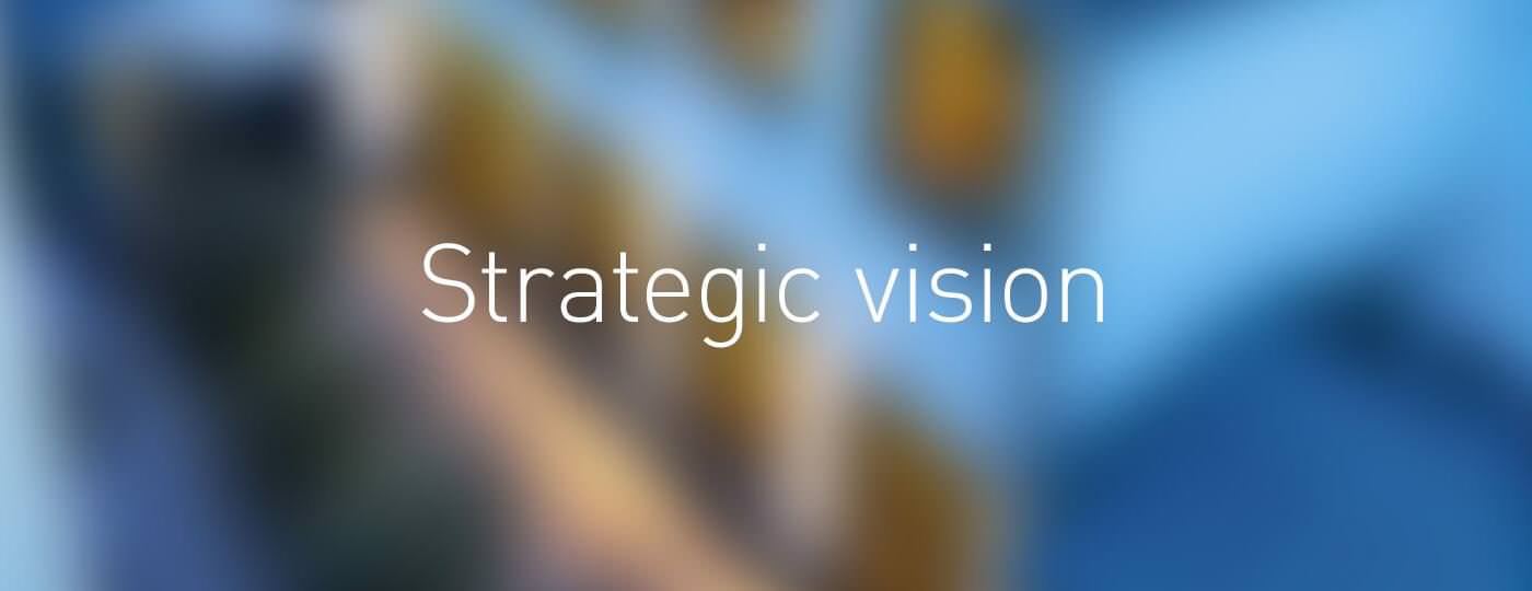 Strategic vision